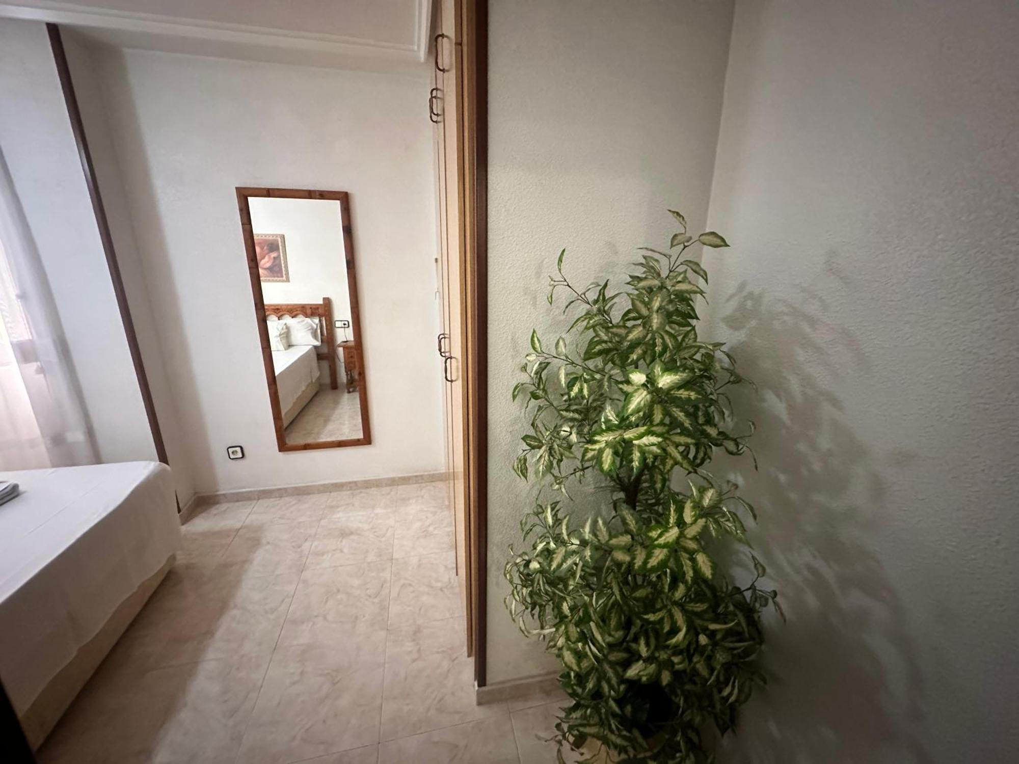 Homely Apartments Habaneras Torrevieja Exterior photo